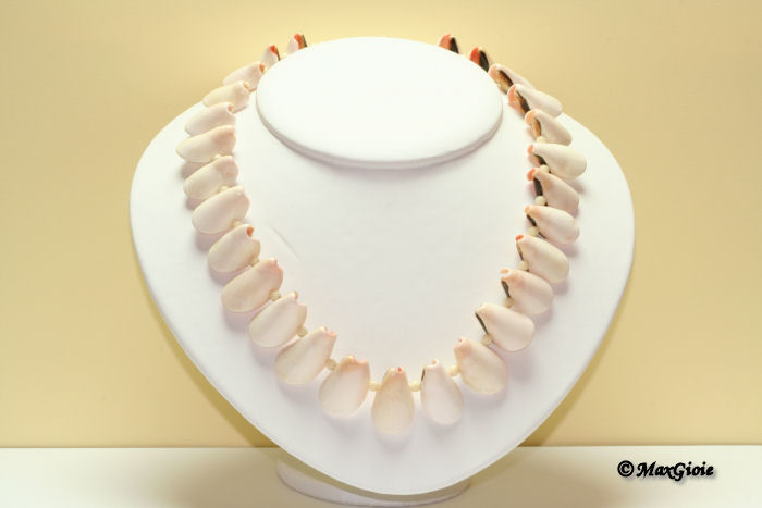 MAXGIOIE - Collana Conchiglia naturale graduata in Argento