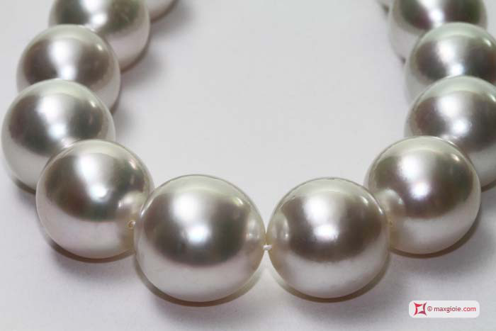 Macrofotografia - Macro Photography MAXGIOIE - Collana TOP Perle Australiane - South Sea 11x14,5mm