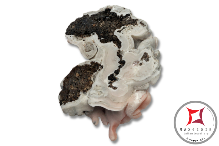 MAXGIOIE - Incisione Artistica Corallo bianco del Pacifico 66x47mm