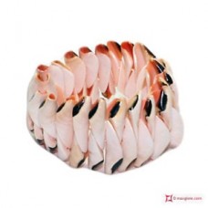 Braccialetto Trendy Conchiglia naturale estensibile id06