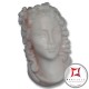 Incisione Artistica Corallo bianco del Pacifico 23.5x41mm