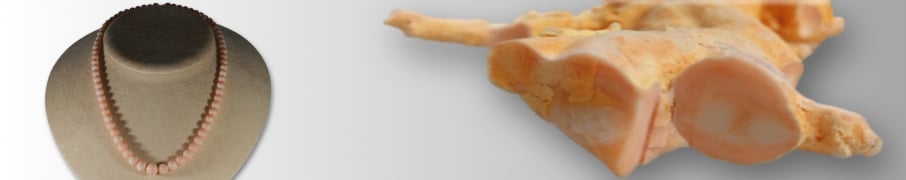 Corallo Pelle d'Angelo